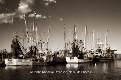 The shrimper fleet in Engelhard, Hyde County, NC