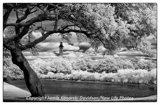 Infrared image of Corolla Lighthouse framed by live oak in the Outer Banks of North Carolina